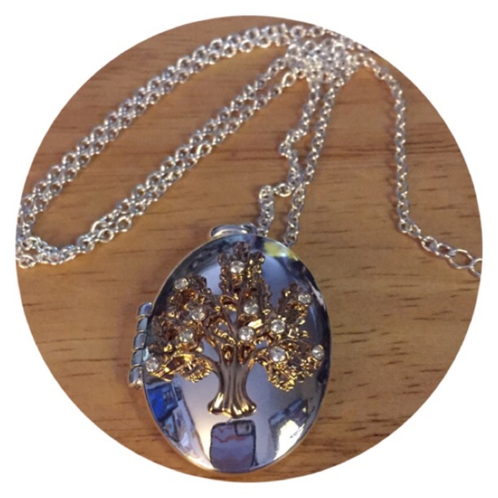 ๐Oaktree Incentive Locket - Picture 1 of 6